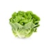 Lechuga